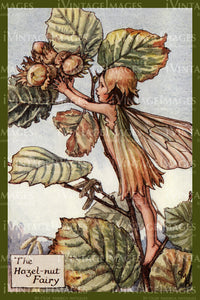 Cicely Barker 1923 - 39 - The Hazel-nut Fairy