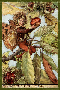 Cicely Barker 1923 - 40 - The Sweet Chestnut Fairy