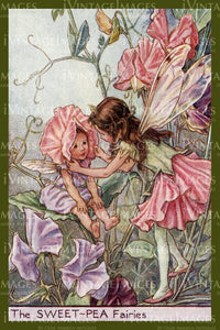 Cicely Barker 1923 - 41 - The Sweet-Pea Fairy