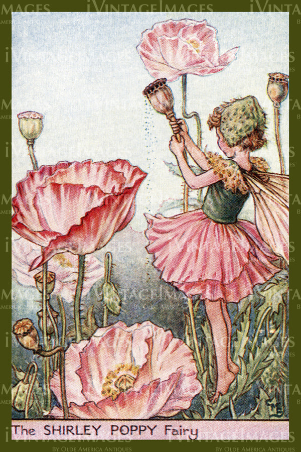 Cicely Barker 1923 - 43 - The Shirley Poppy Fairy