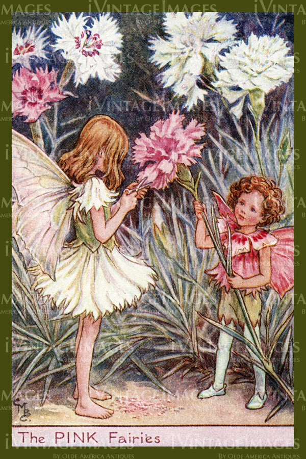 Cicely Barker 1923 - 44 - The Pink Fairy