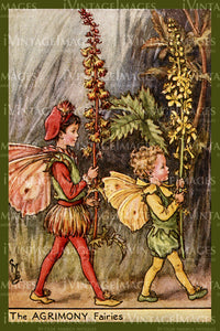 Cicely Barker 1923 - 45 - The Agrimony Fairy