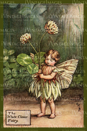 Cicely Barker 1923 - 48 - The White Clover Fairy
