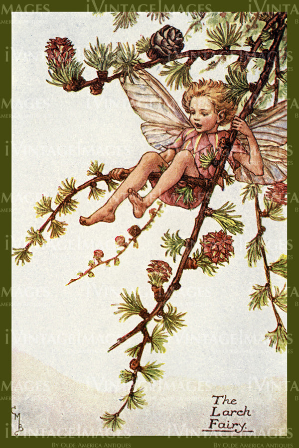 Cicely Barker 1923 - 50 - The Larch Fairy