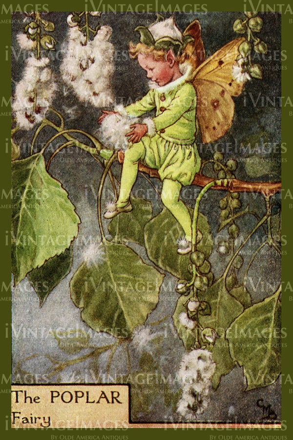 Cicely Barker 1923 - 51 - The Poplar Fairy