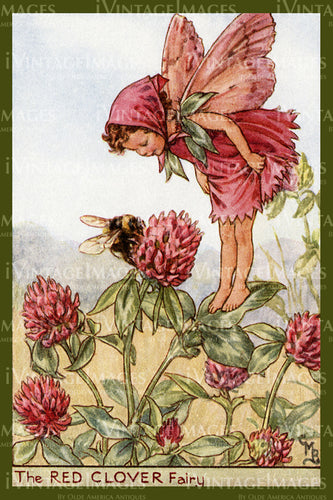 Cicely Barker 1923 - 53 - The Red Clover Fairy