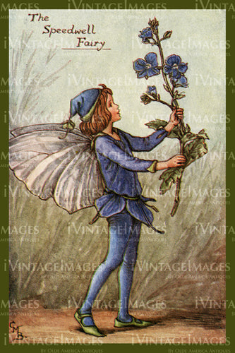 Cicely Barker 1923 - 56 - The Speedwell Fairy