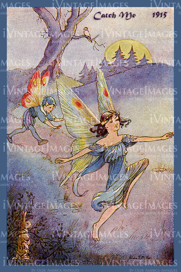 Hilda Miller Fairy 1915 - 4 - Catch Me