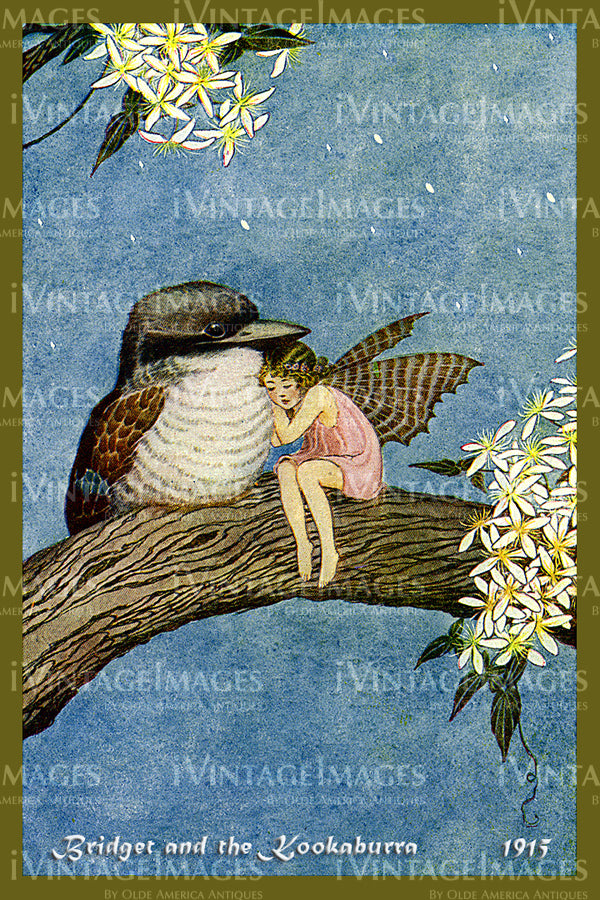 Outhwaite Fairy 1915 - 13 - Bridget and the Kookaburra