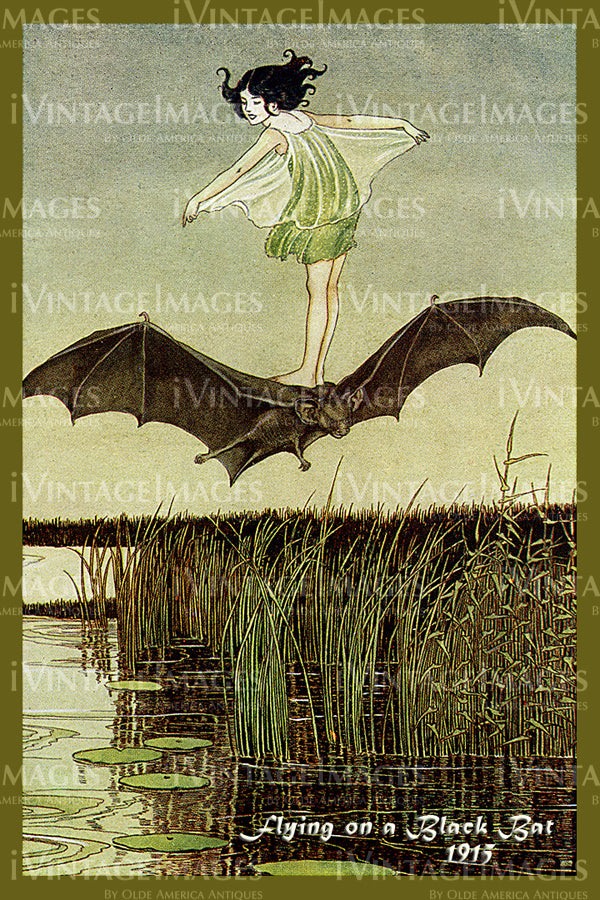 Outhwaite Fairy 1915 - 15 - Flying on a Black Bat