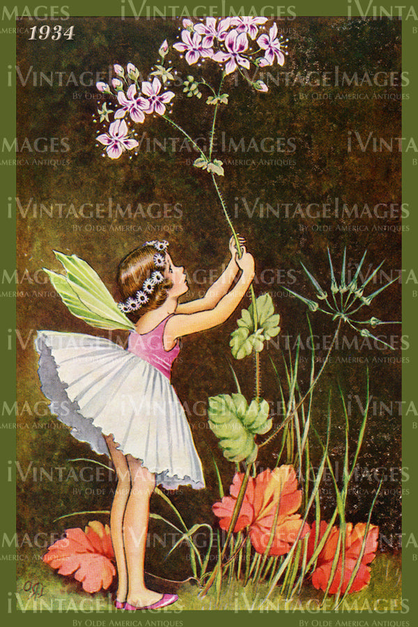 Outhwaite Fairy 1934 - 17 - Fairy and Flower 1