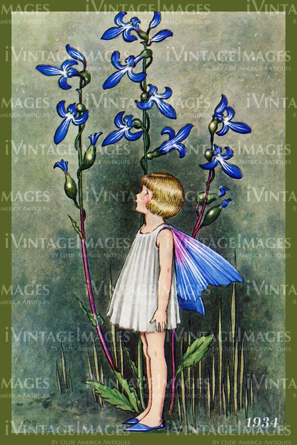 Outhwaite Fairy 1934 - 18 - Fairy and Flower 2