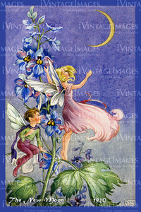 Rene Cloke Fairy - 10 - The New Moon