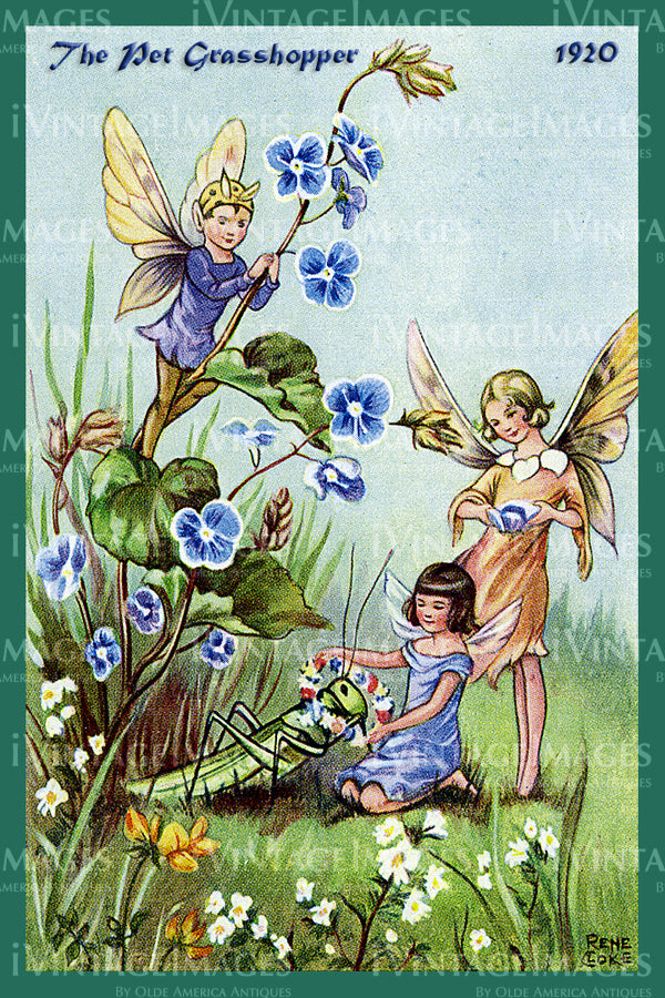 Rene Cloke Fairy - 13 - The Pet Grasshopper
