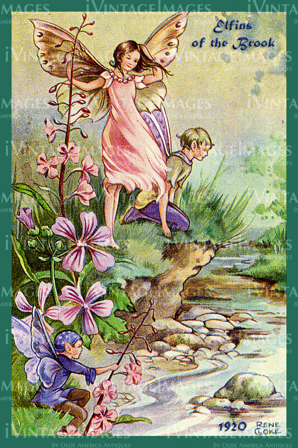 Rene Cloke Fairy - 14 - Elfins of the Brook