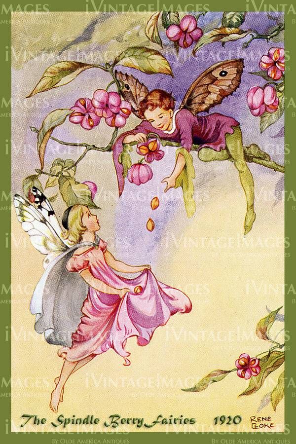 Rene Cloke Fairy - 26 - The Spindle Berry Fairies