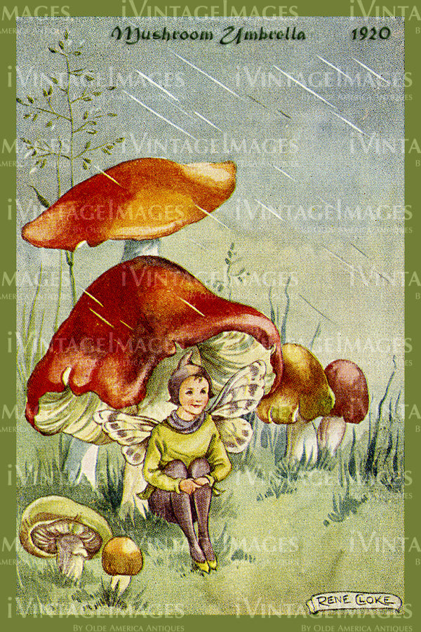 Rene Cloke Fairy - 34 - Mushroom Umbrella