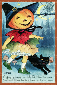 1915 Halloween Postcard - 19