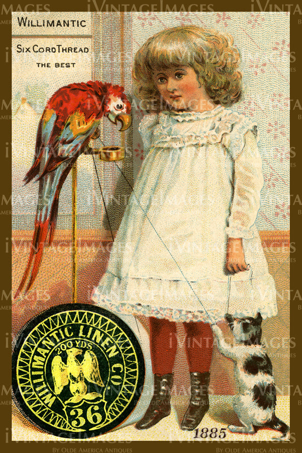 Sewing Trade Card 1885 - 11