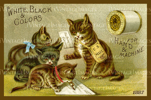 Sewing Trade Card 1887 - 69