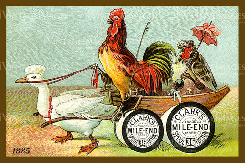 Sewing Trade Card 1885 - 77