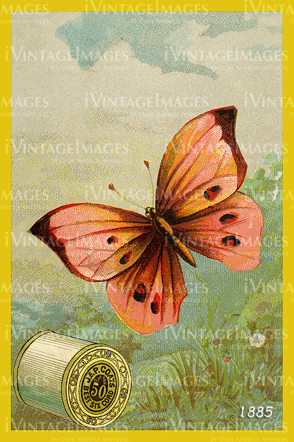 Sewing Trade Card 1885 - 82