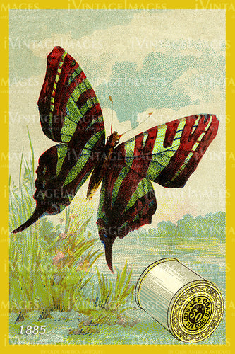 Sewing Trade Card 1885 - 84