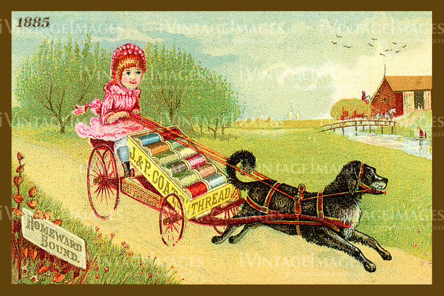 Sewing Trade Card 1885 - 107