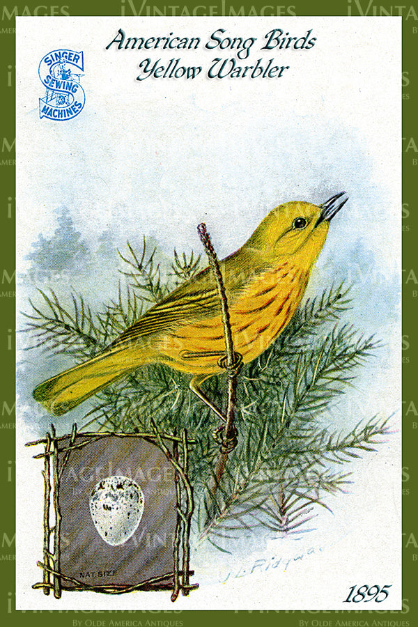 Sewing Trade Card 1895 - 110