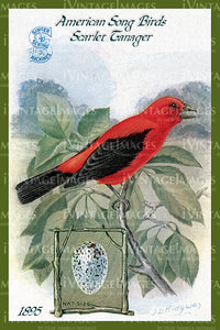 Sewing Trade Card 1895 - 118
