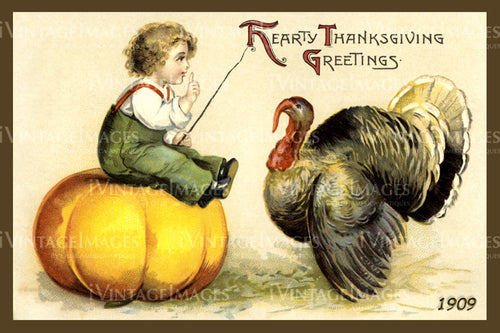 1909 Thanksgiving Postcard - 02