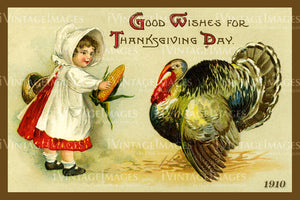 1909 Thanksgiving Postcard - 05