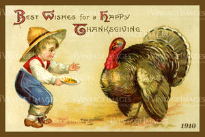 1909 Thanksgiving Postcard - 06
