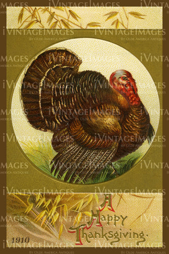 1909 Thanksgiving Postcard - 15