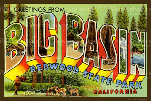 Big Basin California Large Letter 1930 - 005