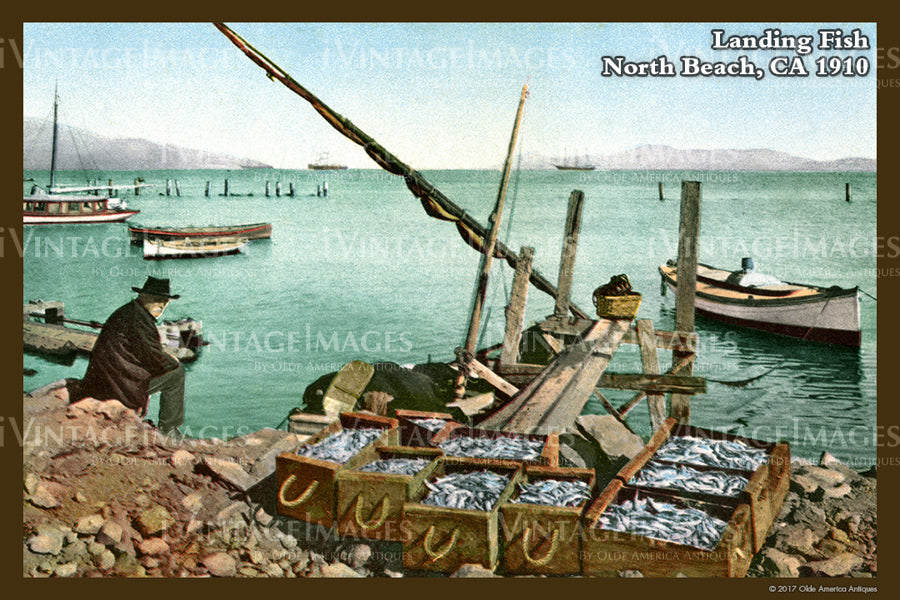 San Francisco North Beach 1910- 059