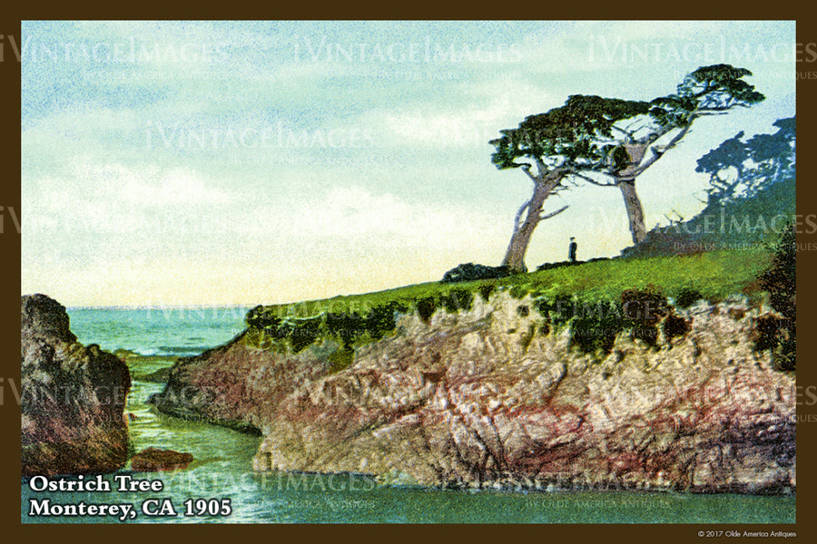 Northern CA Monterey 1905 - 002
