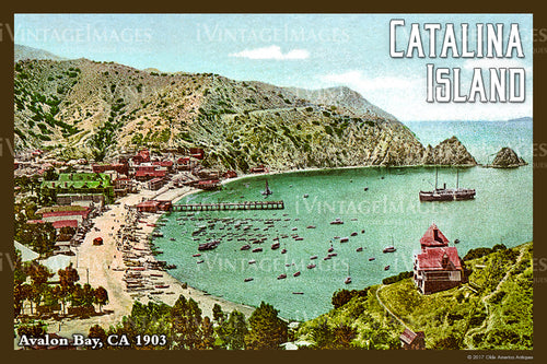 Southern CA Catalina Island 1903 - 049