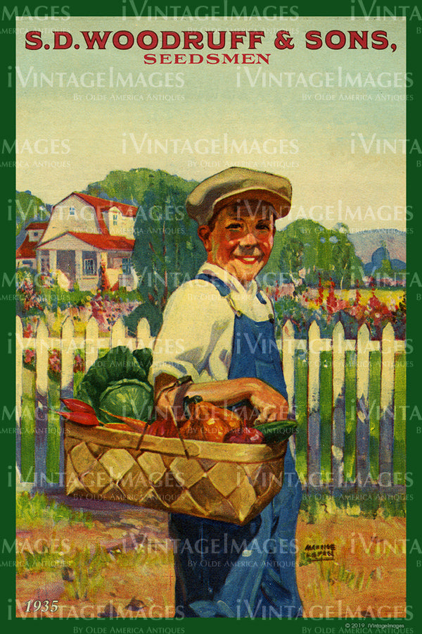 1935 Boy and Vegetables - 047
