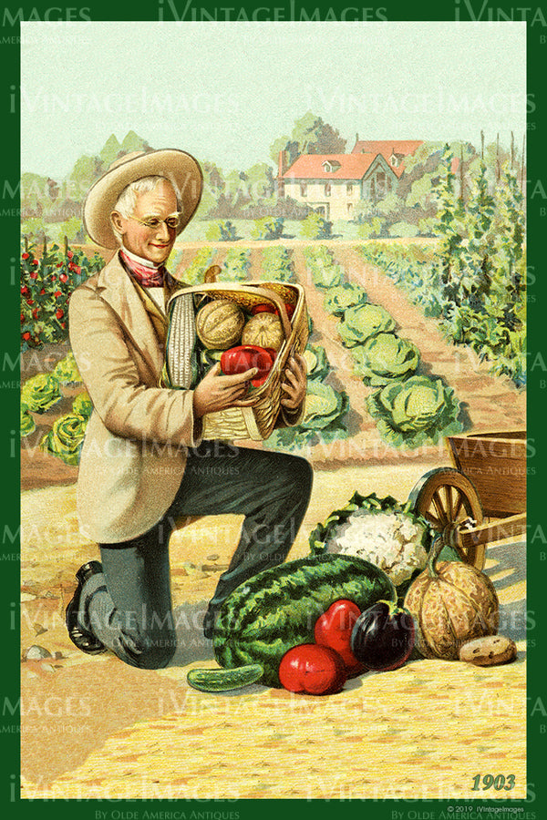 Vegetable Garden - 1903 - 052