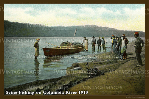 Columbia River Postcard 1910 - 07
