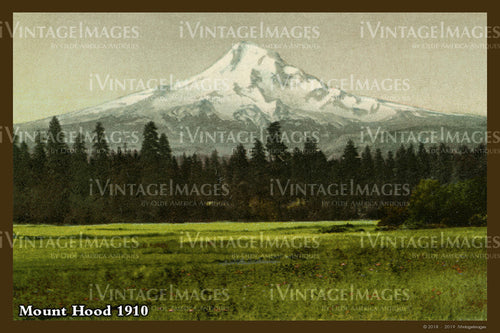 Columbia River Postcard 1910 - 11