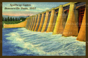 Columbia River Postcard 1937 - 21