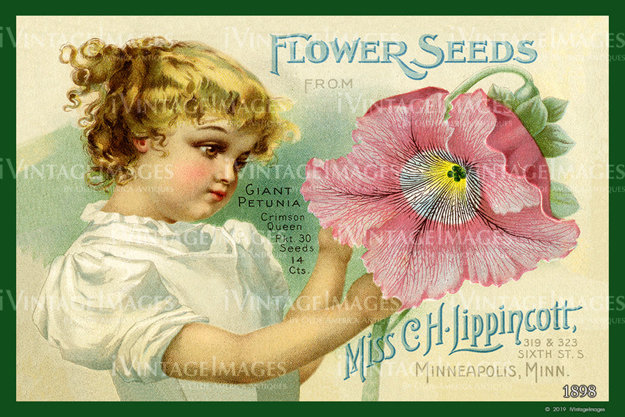 Lippincott Flower Seeds 1898 - 002