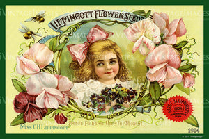 Lippincott Flower Seeds 1904 - 003