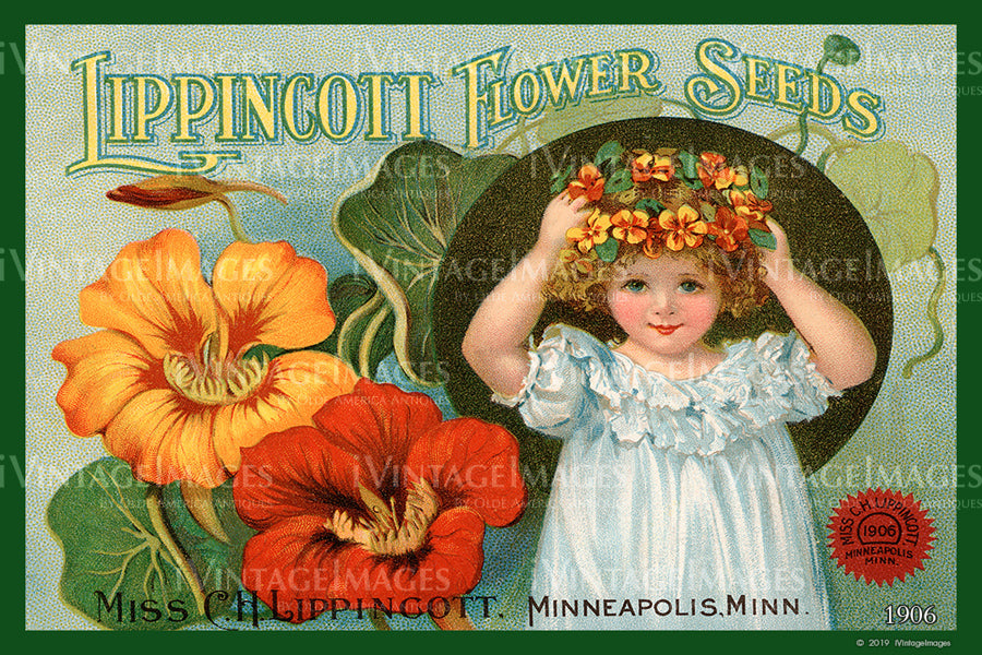 Lippincott Flower Seeds 1906 - 004