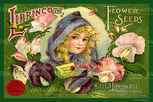 Lippincott Flower Seeds 1908 - 005