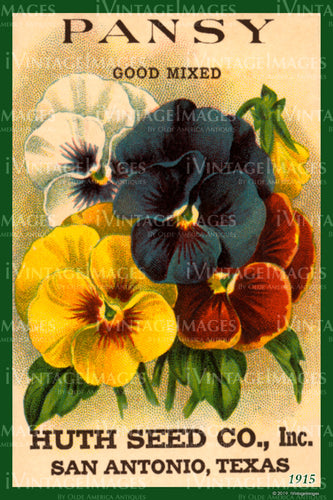 Pansy Flower Seeds 1915 - 006