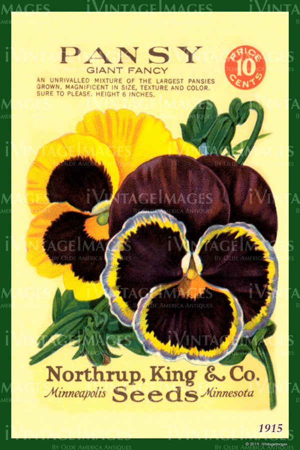 Pansy Flower Seeds 1915 - 007