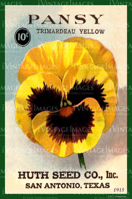 Pansy Flower Seeds 1915 - 008